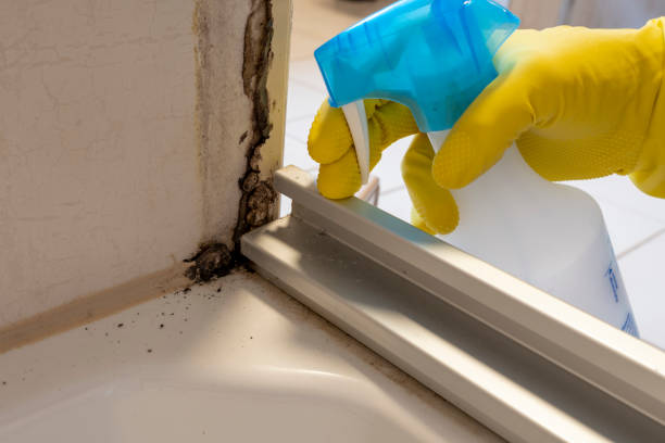 Best Mold Cleaning Services  in Stonewall, MS