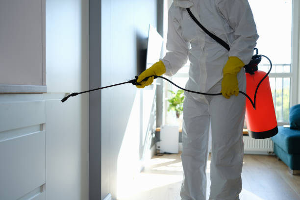 Best Crawl Space Mold Removal  in Stonewall, MS