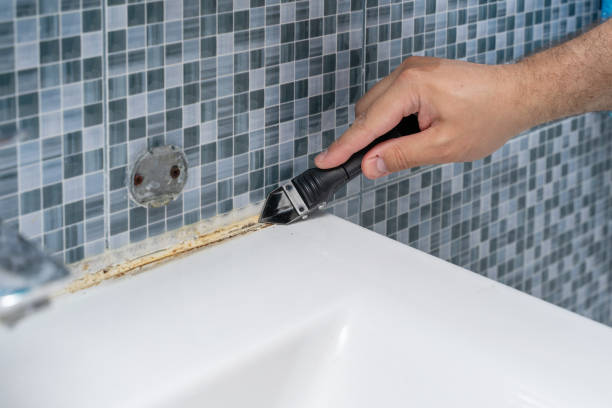 Best Office Mold Removal Services  in Stonewall, MS